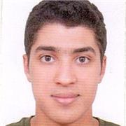 Enginnering Student, Arabic Native Speaker and English Speaker